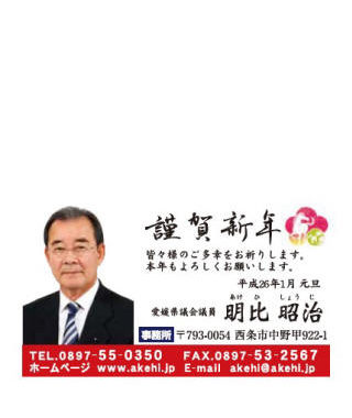 県政報告（ハガキ）　No55