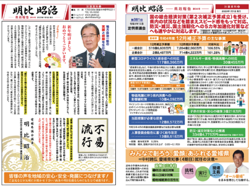 県政報告（チラシ）　No.94